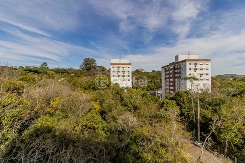Image 17 - 891445