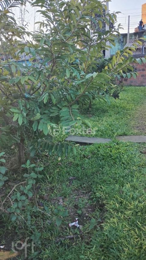 Image 4 - 892059