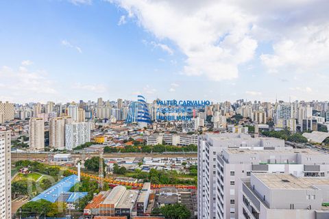 Image 13 - 892218