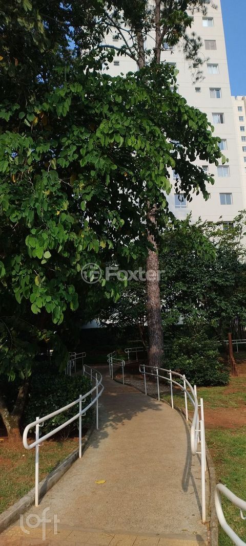 Image 12 - 892243