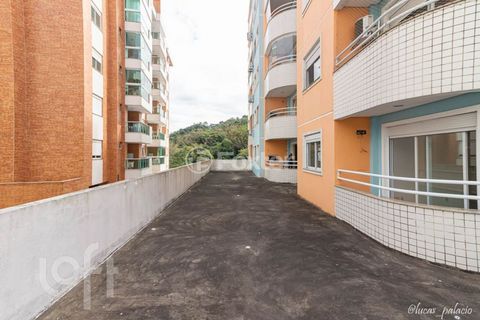 Image 19 - 892662
