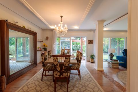 Image 11 - 893099