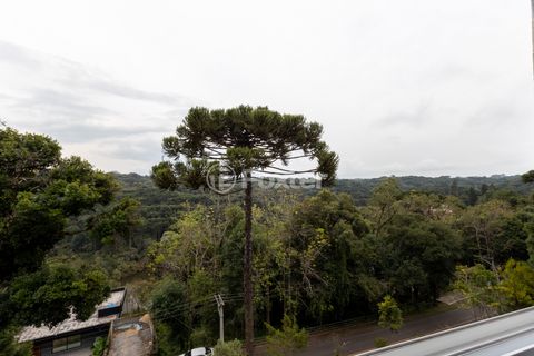 Image 16 - 893102