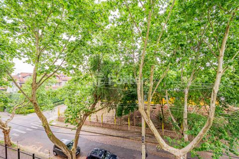 Image 15 - 893134