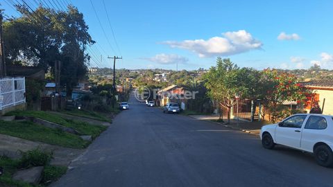 Image 5 - 893797