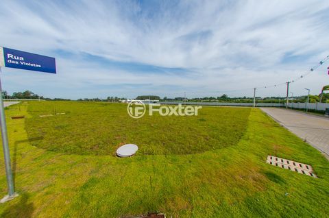 Image 9 - 893844