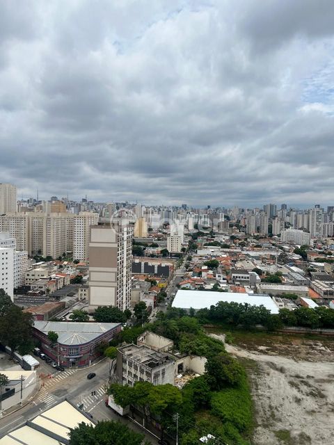Image 10 - 893860