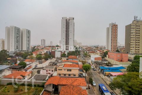 Image 11 - 893863