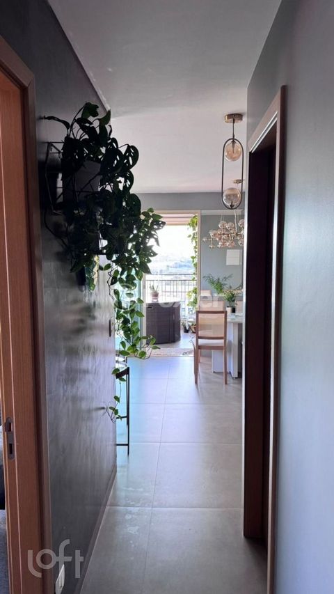 Image 11 - 893869