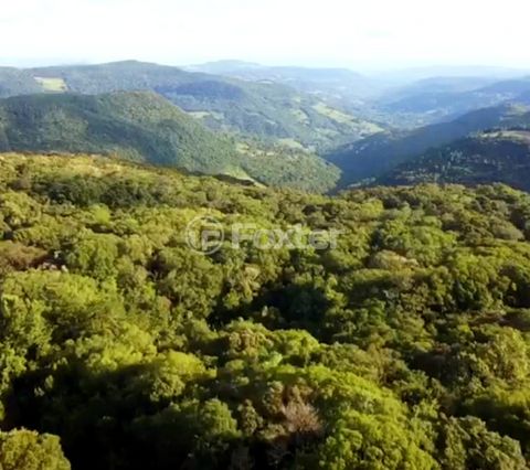 Image 4 - 893881