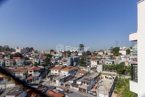 Image 4 - 894067