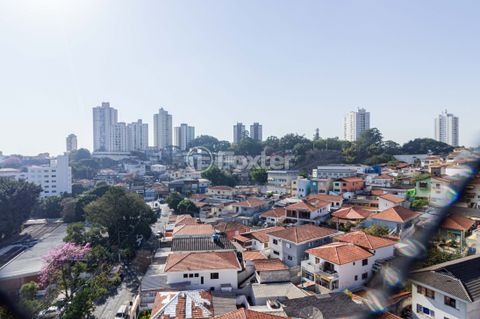 Image 12 - 894067
