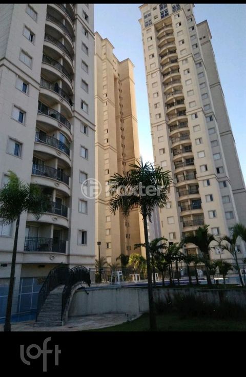 Image 13 - 894206