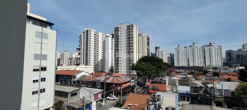 Image 11 - 894229