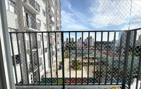 Image 9 - 894365