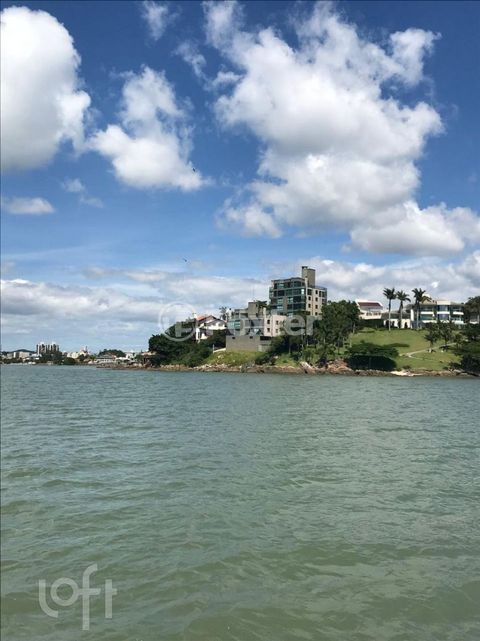 Image 2 - 894428