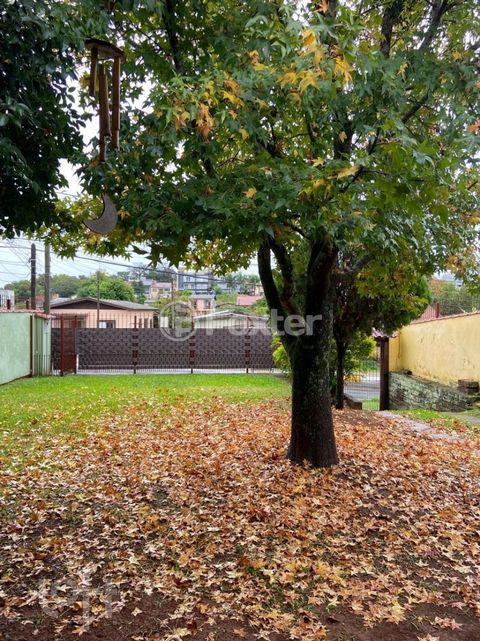 Image 17 - 894471