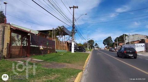 Image 11 - 894471