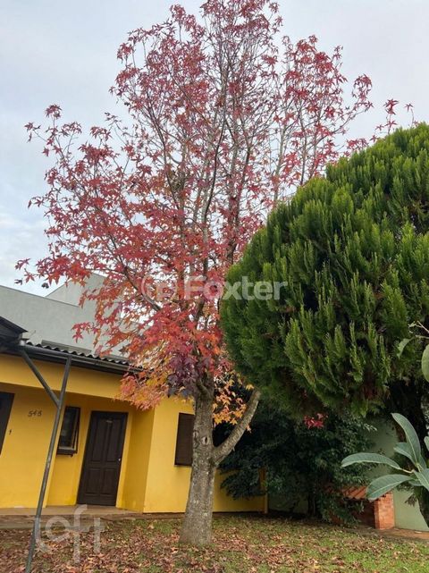 Image 5 - 894471