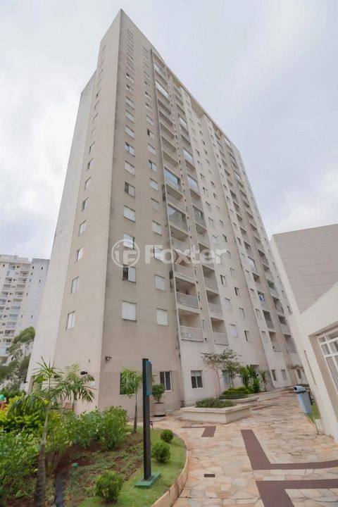 Image 8 - 894546