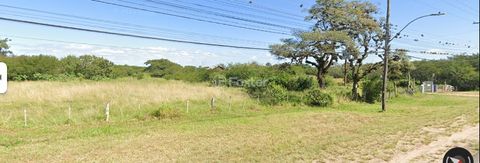 Image 3 - 894569