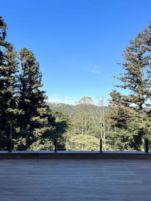 Image 6 - 894628