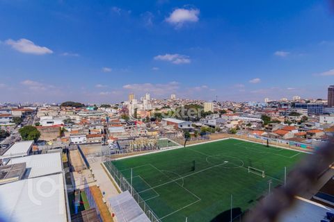 Image 14 - 894677