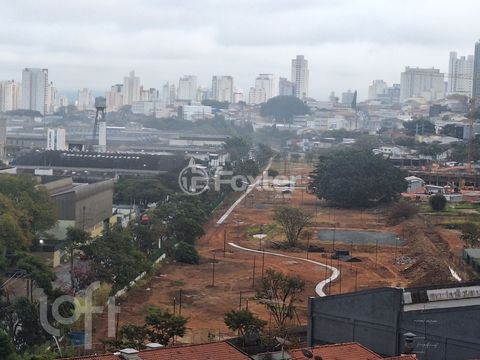 Image 13 - 894684