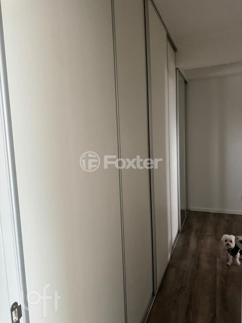 Image 8 - 894686