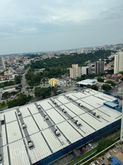 Image 14 - 894686