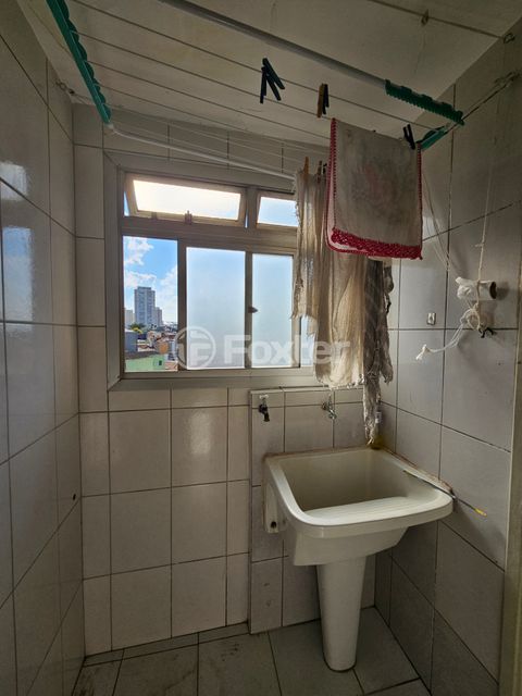 Image 7 - 894764