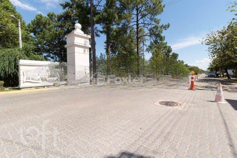 Image 17 - 894768