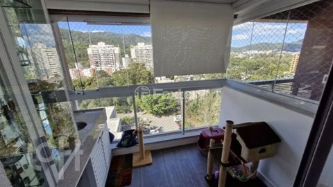 Image 8 - 894845