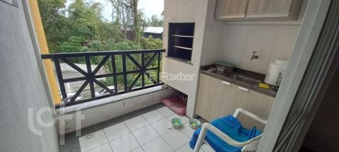 Image 9 - 894876
