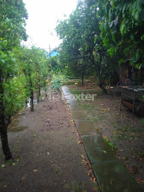 Image 4 - 895002