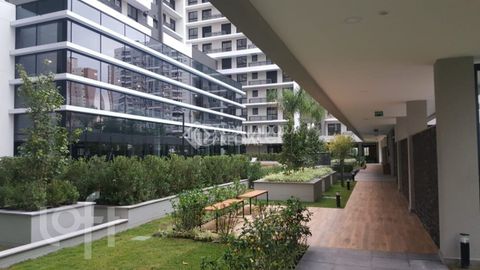 Image 14 - 895101