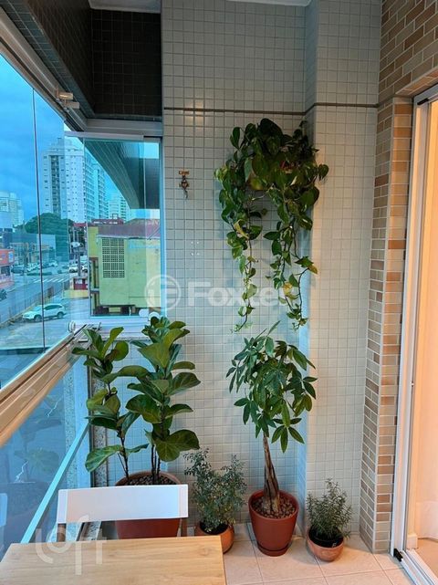 Image 2 - 895249
