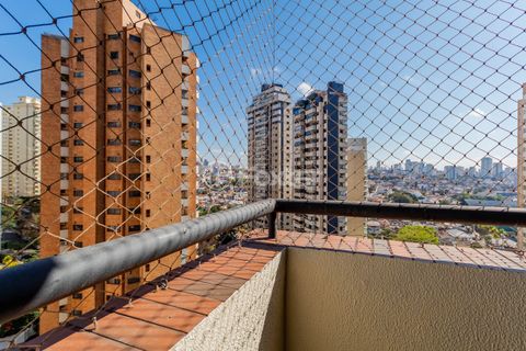 Image 19 - 895306