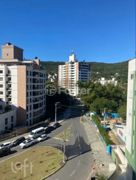 Image 8 - 895494