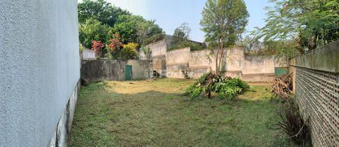 Image 3 - 895514