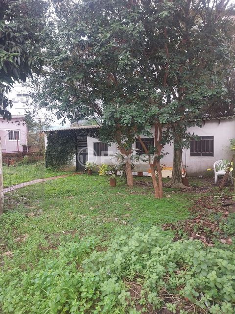 Image 3 - 895651