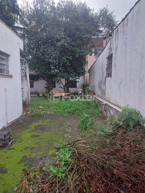 Image 2 - 895651