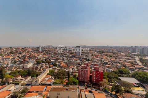 Image 13 - 895691