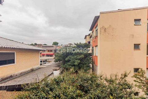 Image 4 - 895907