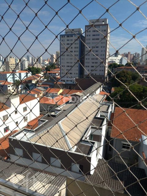 Image 12 - 896019