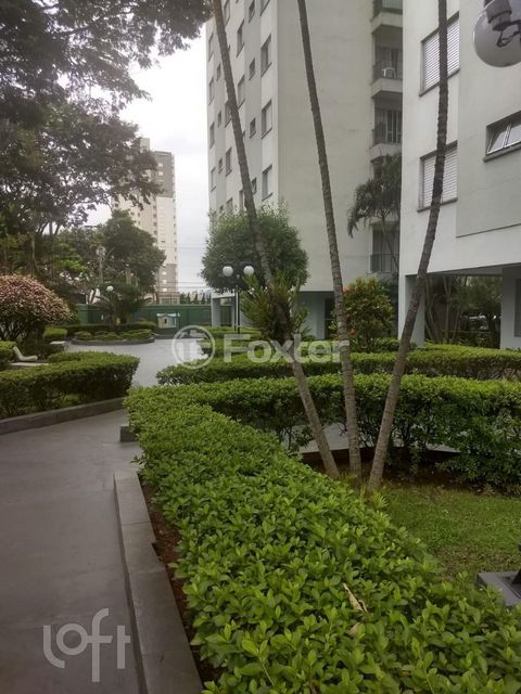 Image 6 - 896195