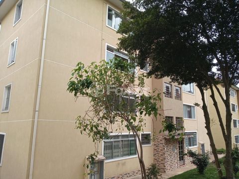 Image 3 - 896203