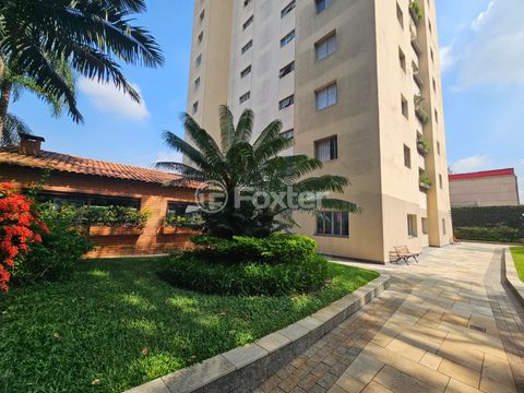Image 7 - 896231