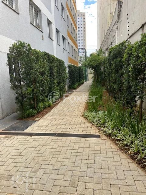 Image 6 - 896290