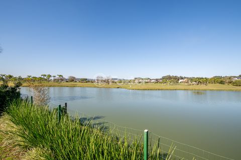 Image 17 - 896549